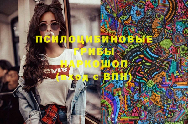 дживик Дмитровск