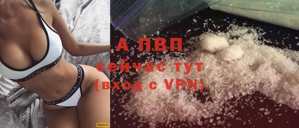 амф Дмитров