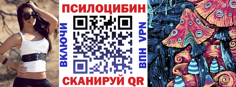 Купить  Вольск  Псилоцибиновые грибы Psilocybe 